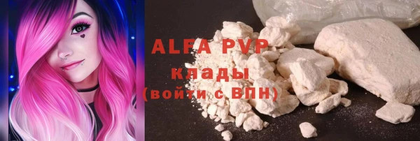 ПСИЛОЦИБИНОВЫЕ ГРИБЫ Осташков