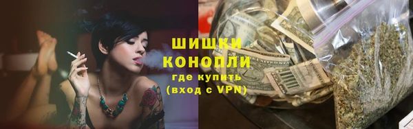 ПСИЛОЦИБИНОВЫЕ ГРИБЫ Осташков