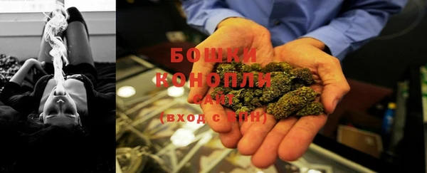 ПСИЛОЦИБИНОВЫЕ ГРИБЫ Осташков