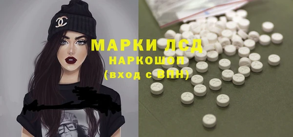 ПСИЛОЦИБИНОВЫЕ ГРИБЫ Осташков