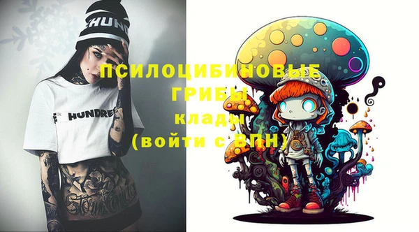 2c-b Осинники