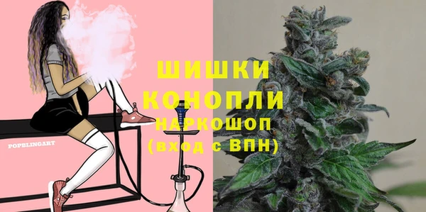 2c-b Осинники