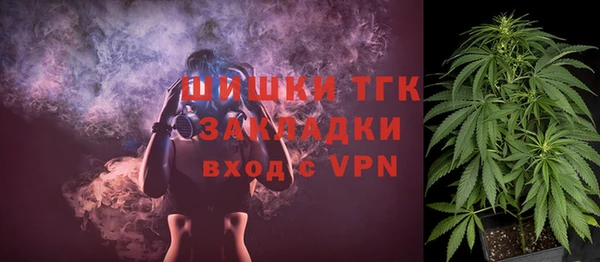 ПСИЛОЦИБИНОВЫЕ ГРИБЫ Осташков